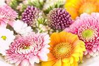 Direct Cremation Services Rochester NY